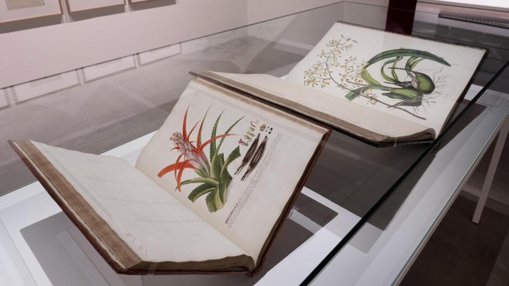 Albums from the 18th century in room 2. Photo: Fundación Telefónica