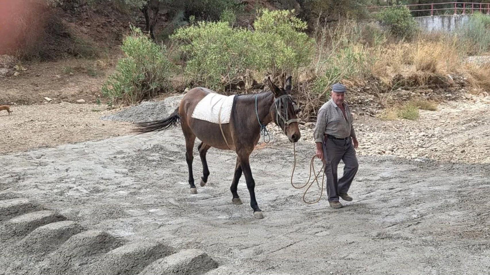 Uno de los pasos hormigonados.