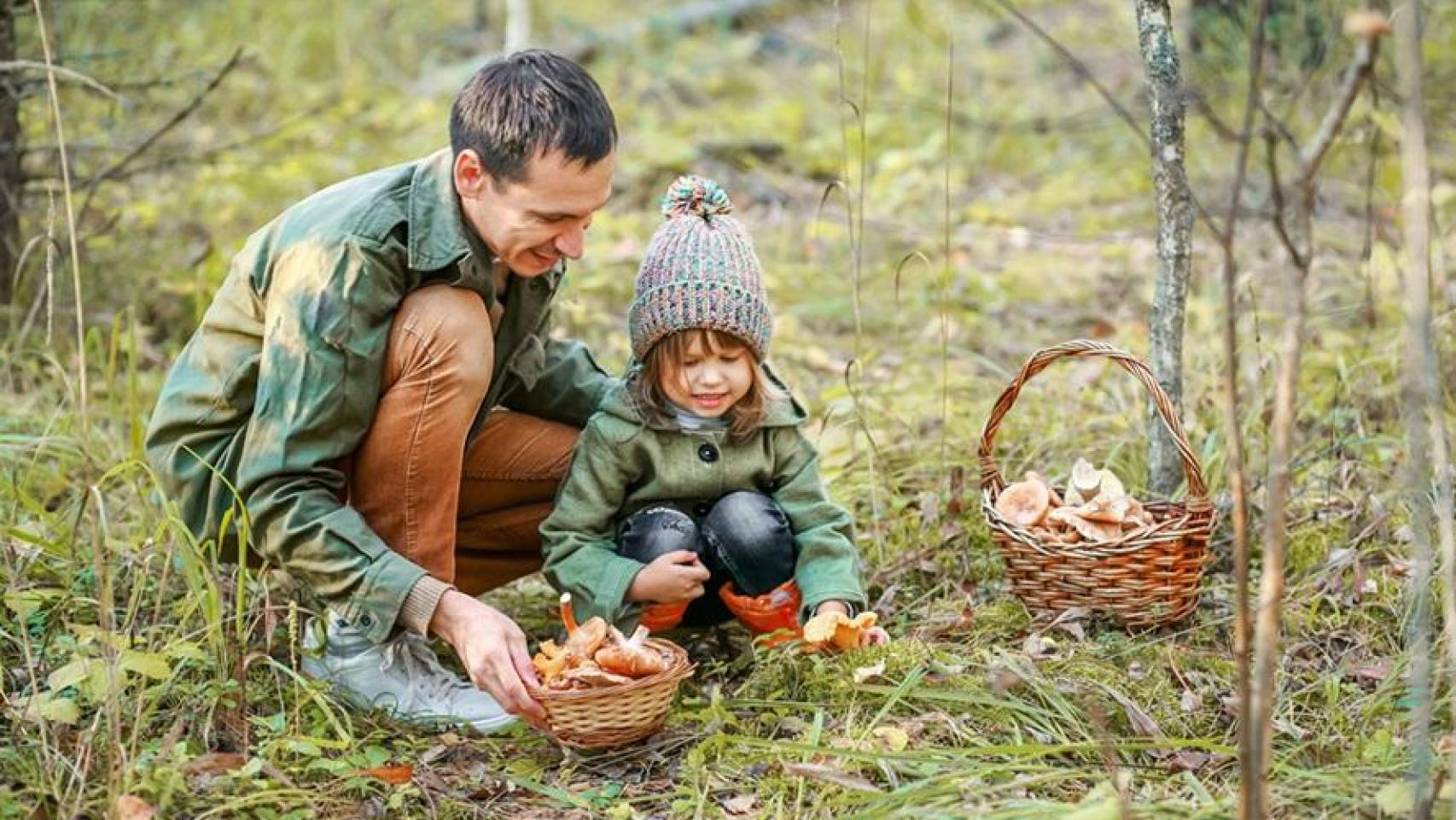 Padre e hija recogiendo setas