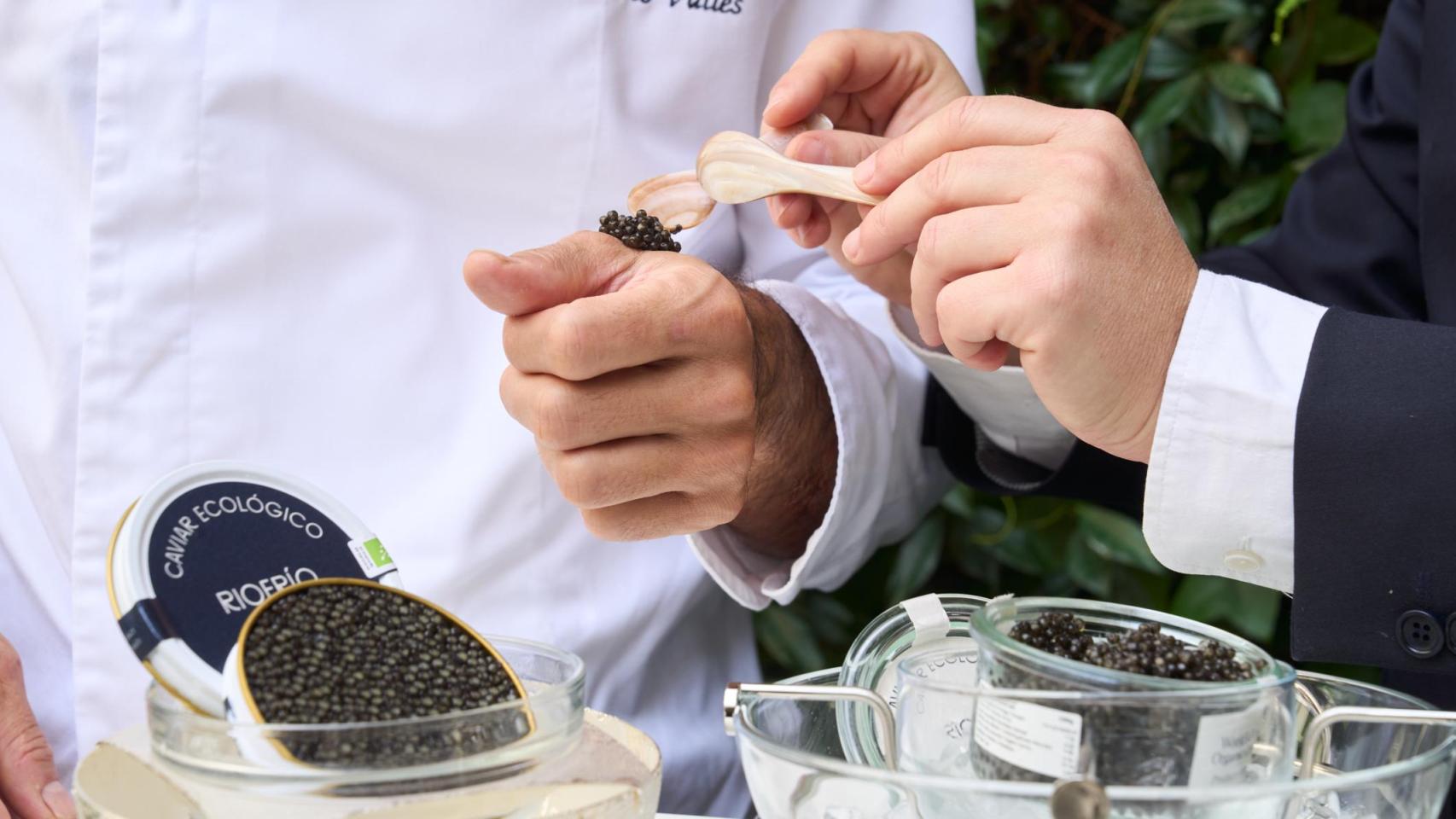 Caviar Ecológico Riofrío.