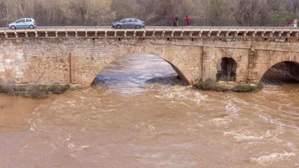 Río Henares a su paso por Guadalajara.