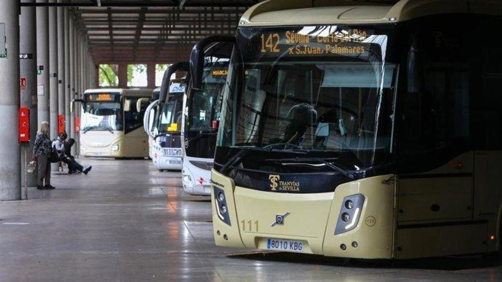 Imagen de autobuses del consorcio.