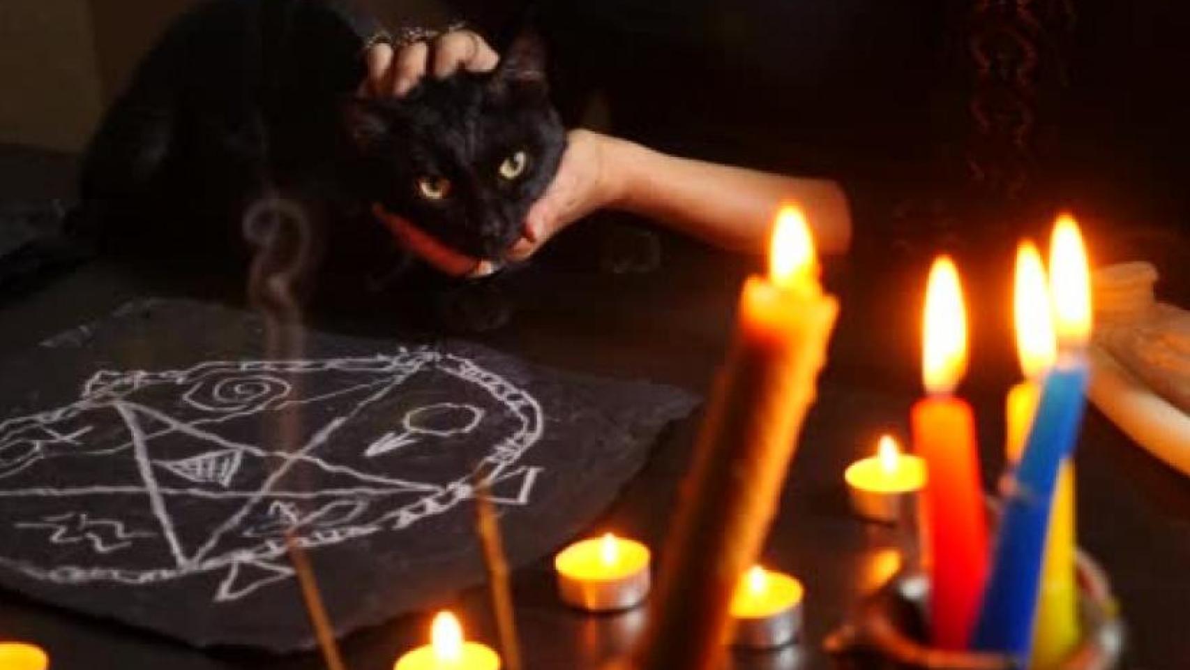 Los macabros rituales de sacrificio de animales en Halloween en España:  Los satánicos buscan gatos negros 