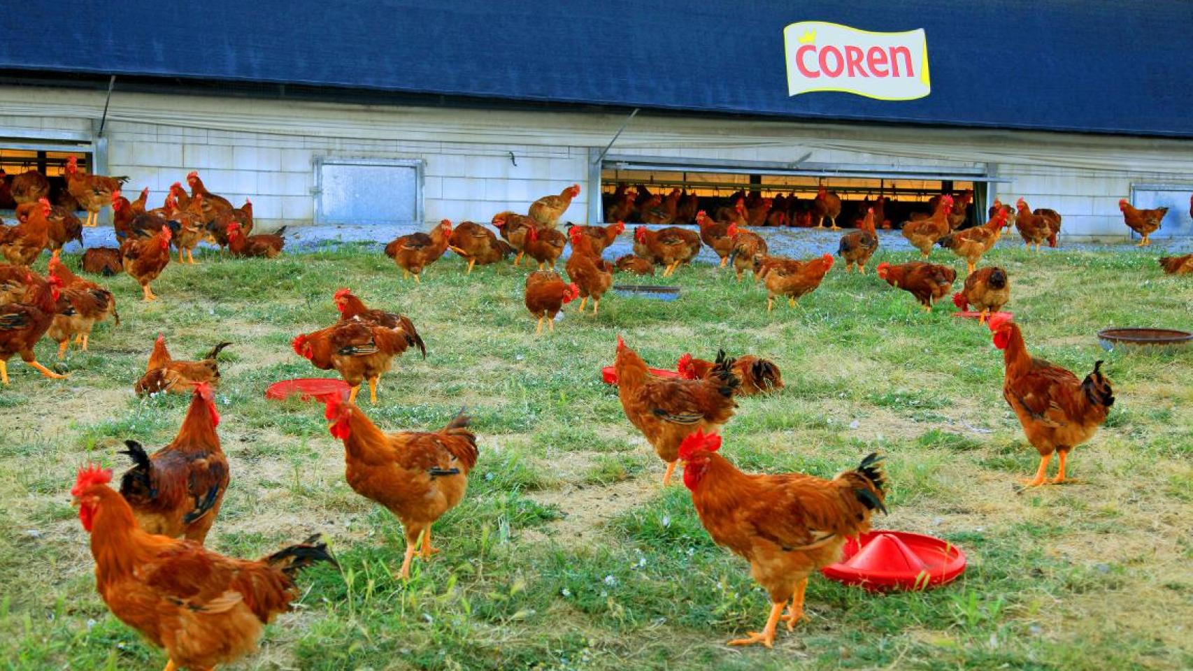 Imagen de una campaña publicitaria de Coren