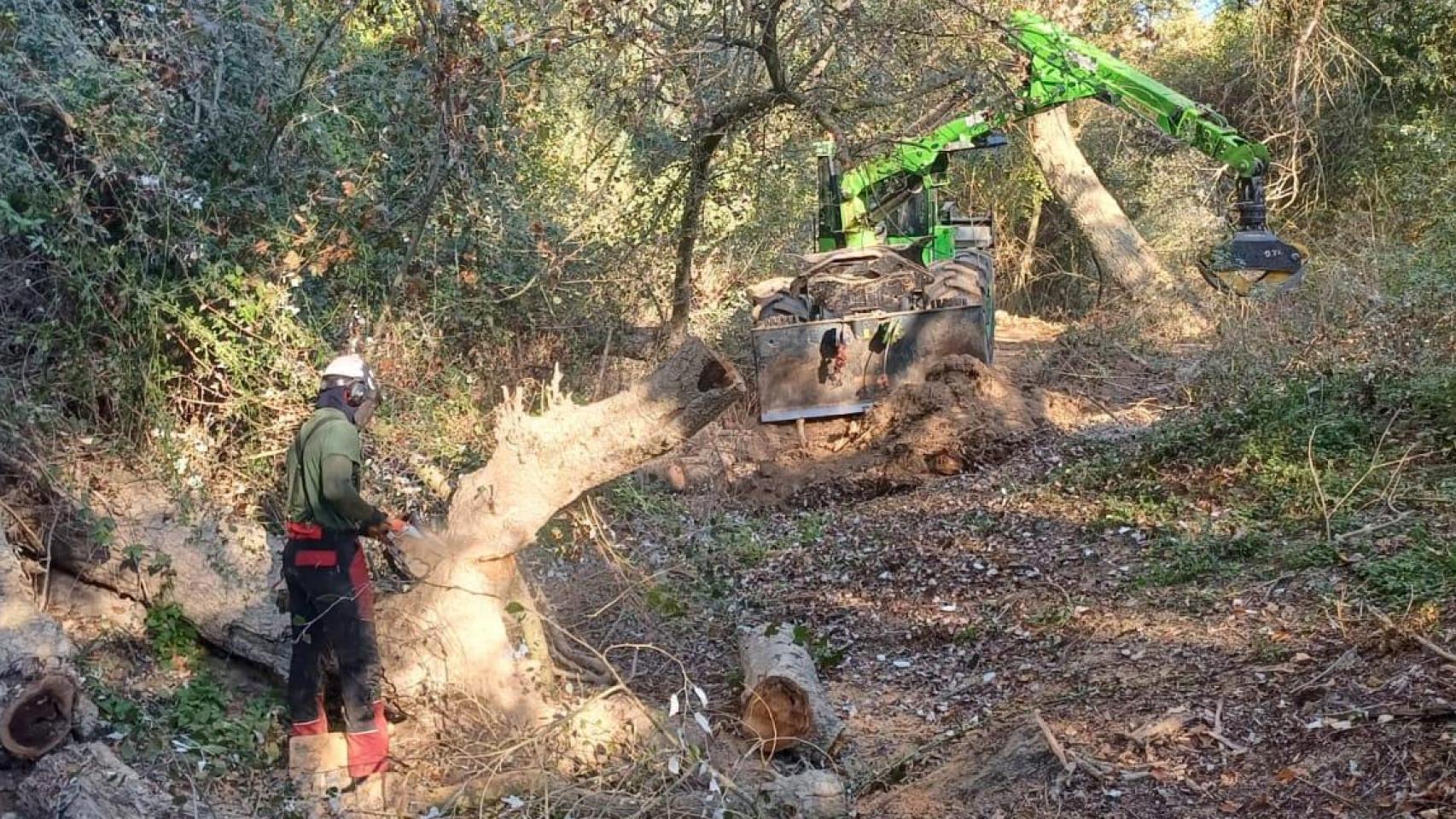 Trabajos en una de las grandes zonas de sedimentos del río Ebro.