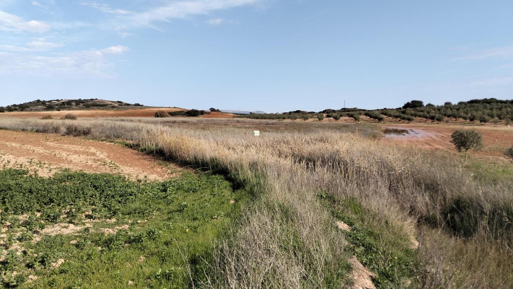 La Laguna de Camuñas de Campillos.