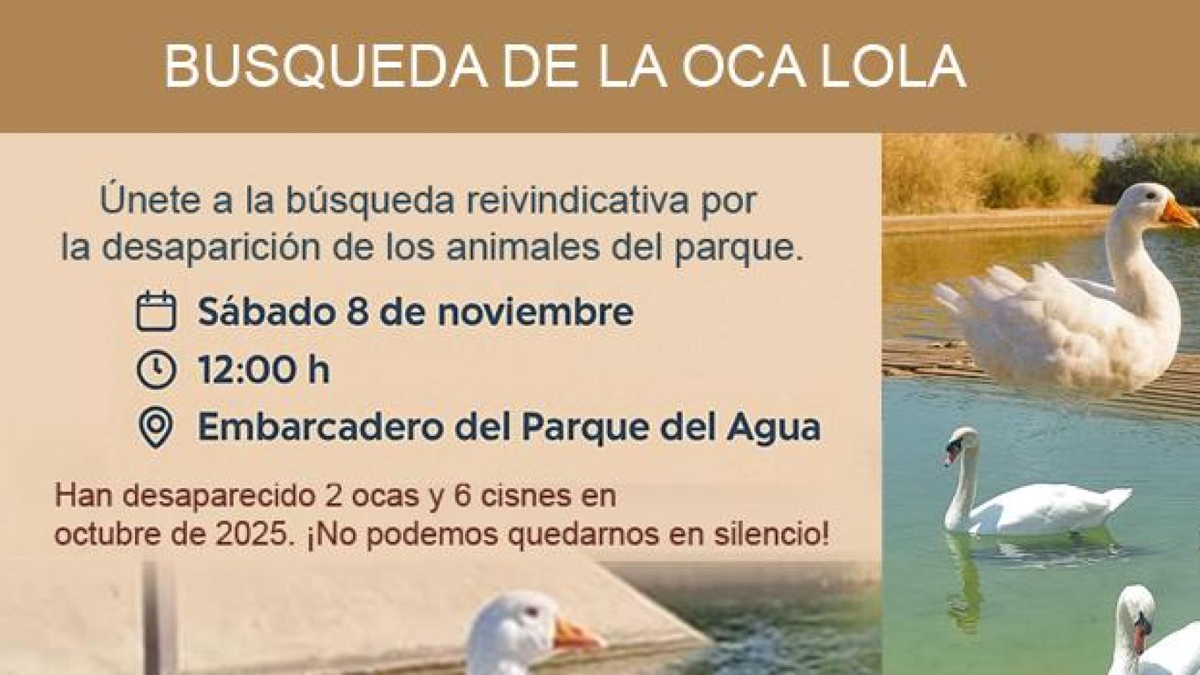 Cartel de la búsqueda de la oca Lola.
