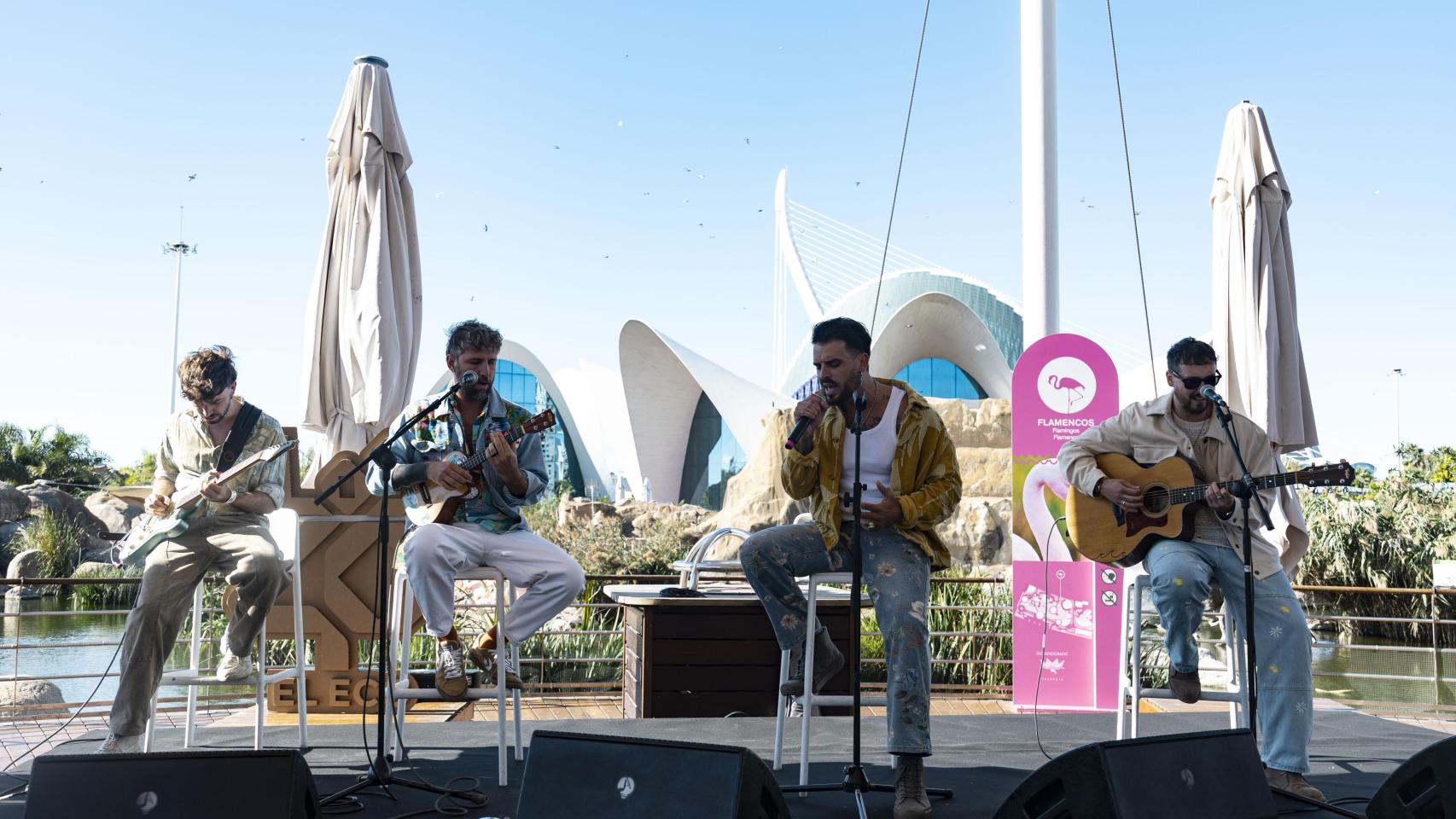 Bombai, tras participar en la suelta de tortugas marinas en una playa de Valencia: Nos hemos criado aquí, es un lujo