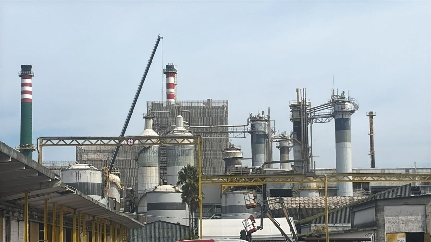 Imagen de la fábrica de Ence.