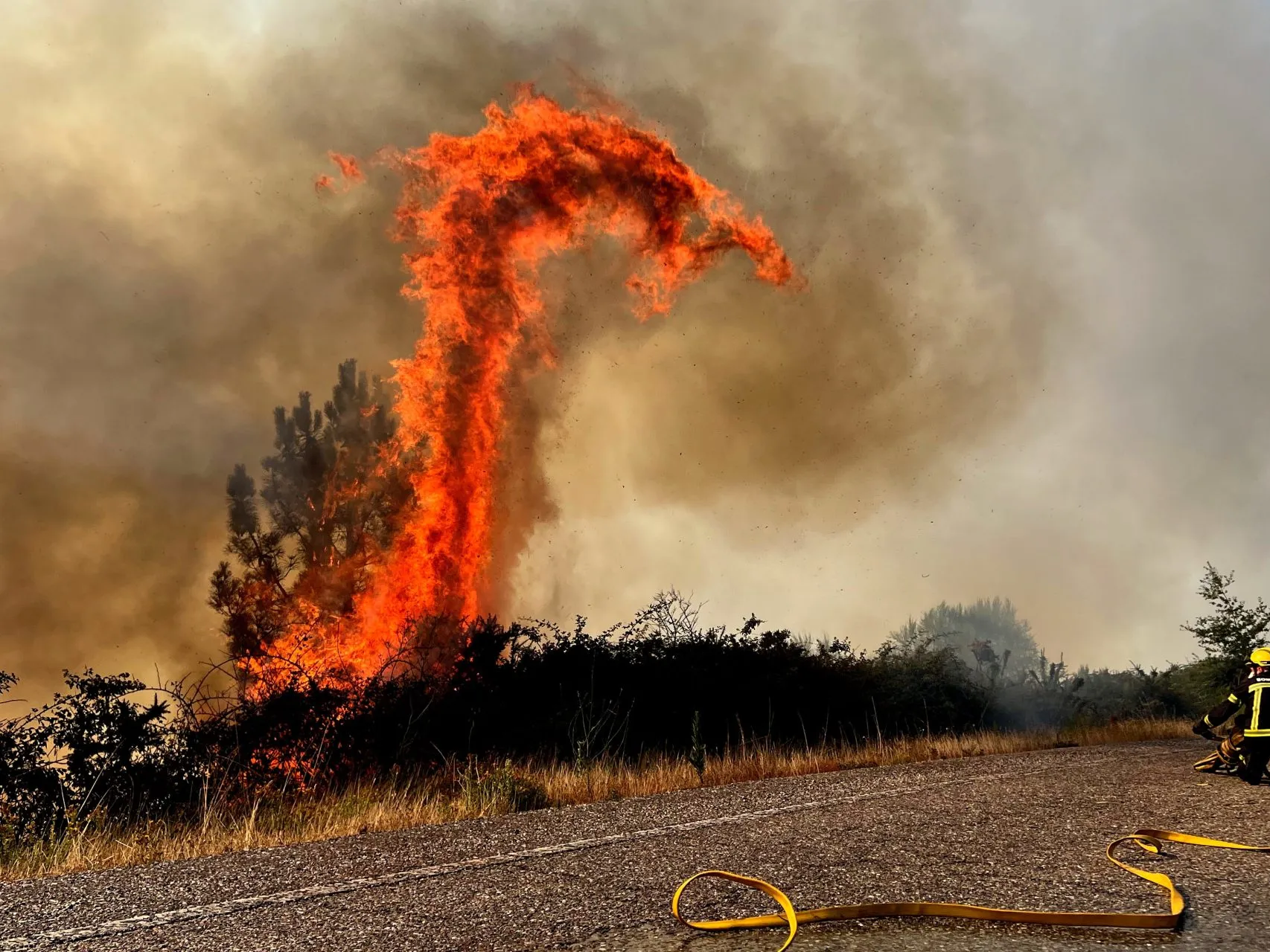 Bomberos trabajan para extinguir un incendio forestal en Pontevedra