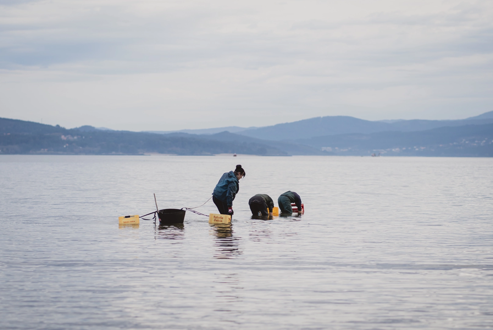 Foto siete de las mariscadoras gallegas