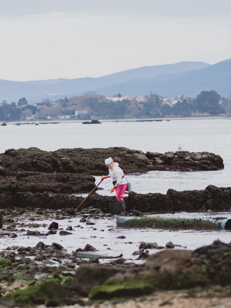 Foto nueve de las mariscadoras gallegas