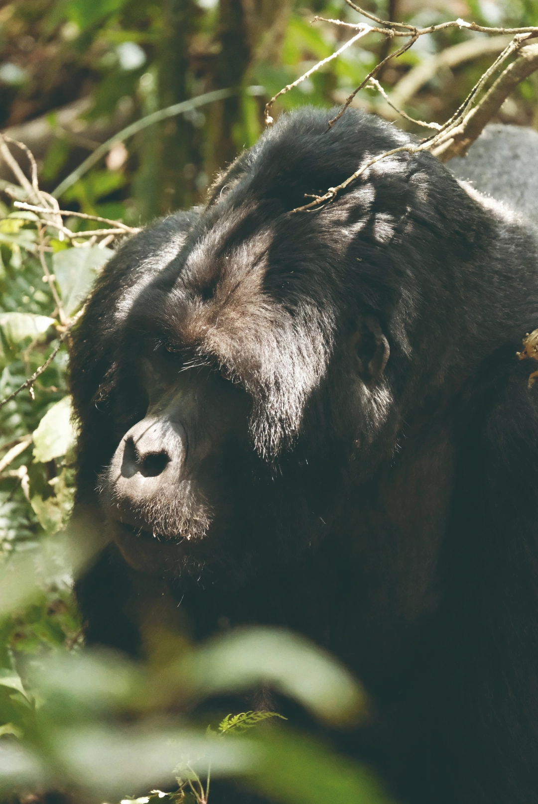 Foto diez de el listado Top100 Lujos de Destinos