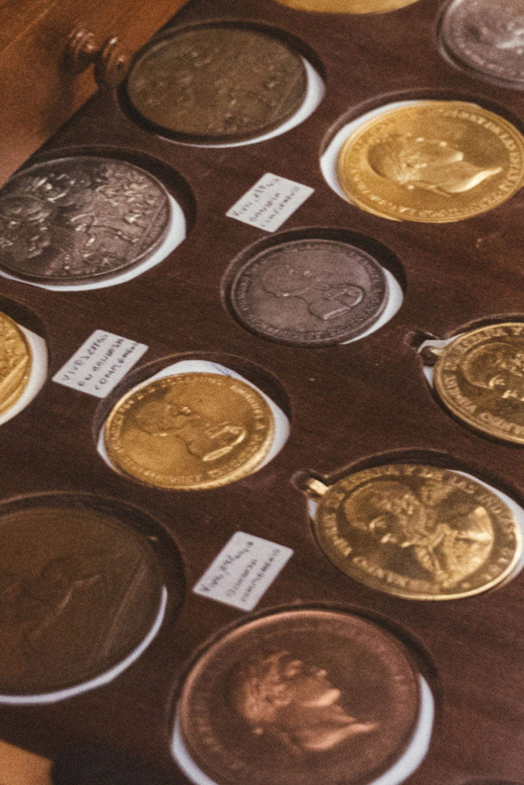 Foto tres de Rocío Fernández-Tresguerres García