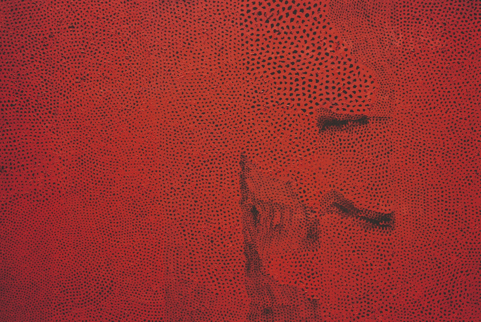 Foto siete de Yayoi Kusama