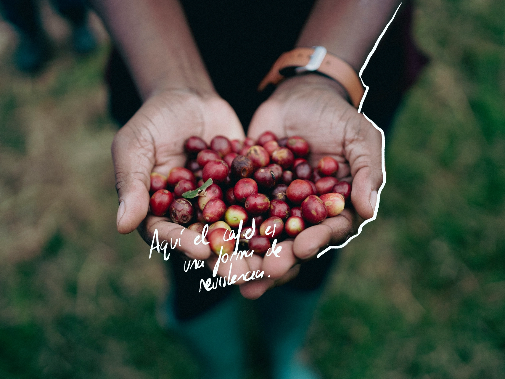 Foto de la cabecera de la producción de Agogo Project en Malawi