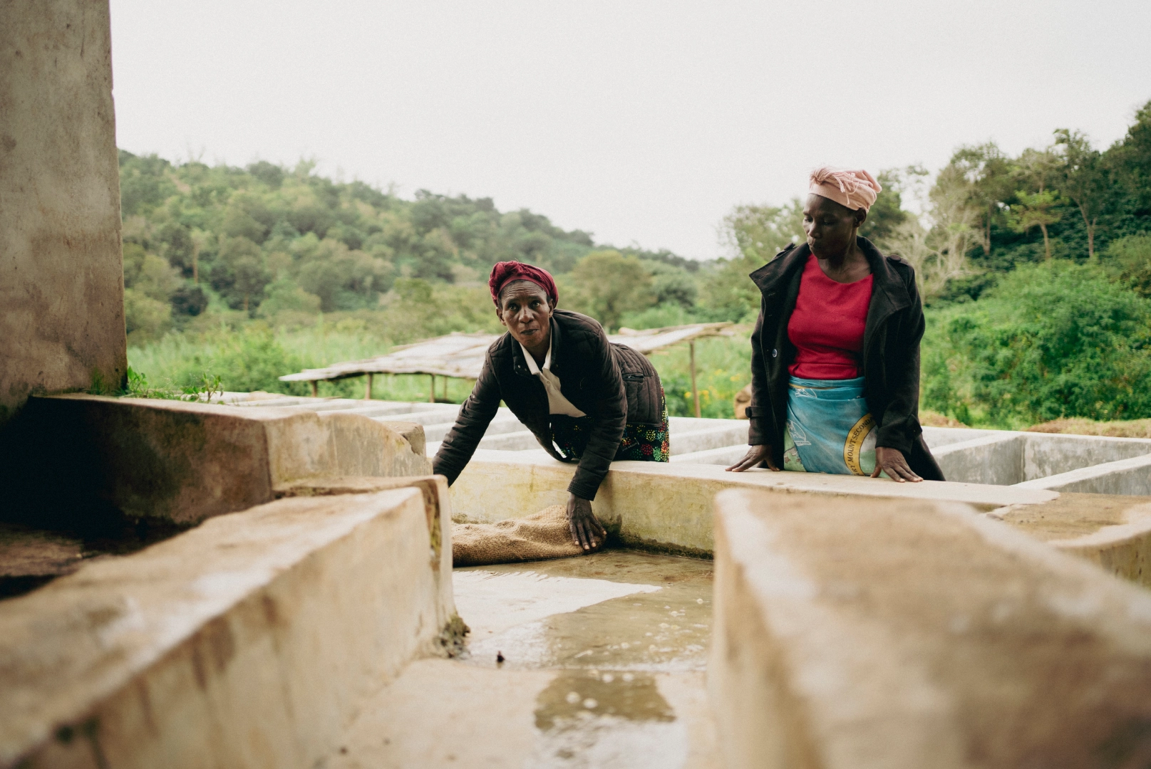 Foto cinco de la producción de Chipunga, Malawi