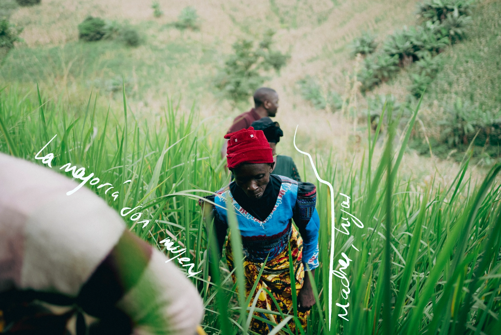 Foto siete de la producción de Chipunga, Malawi