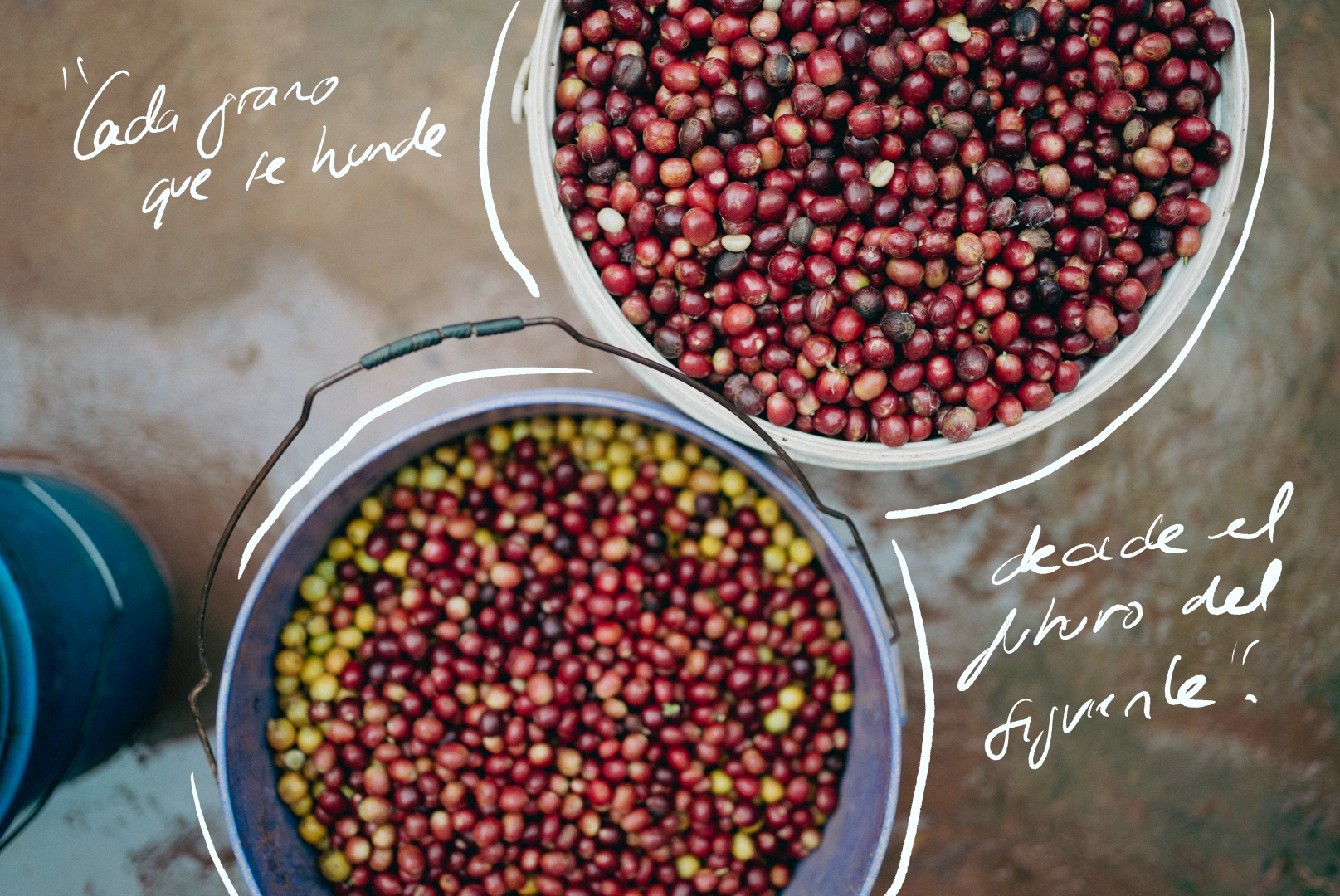 Foto nueve de la producción de Chipunga, Malawi
