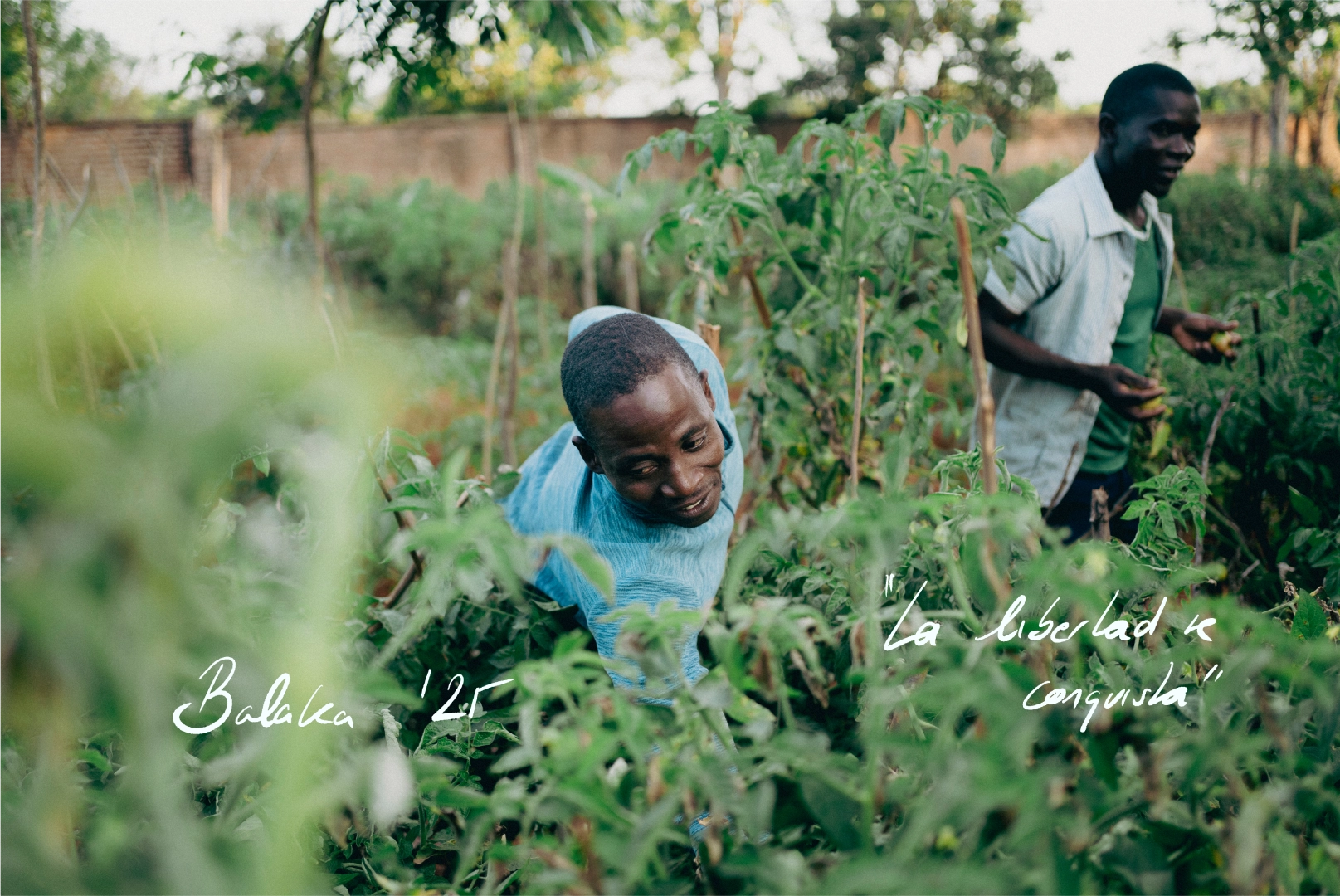 Foto uno del tema de la prisión de Malawi