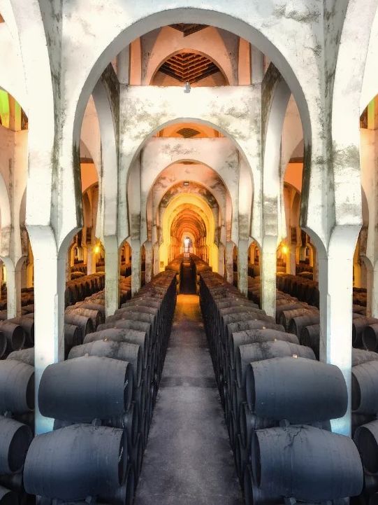 Fundador y Magas te invitan a vivir la mejor experiencia enoturística en Bodega de Jerez