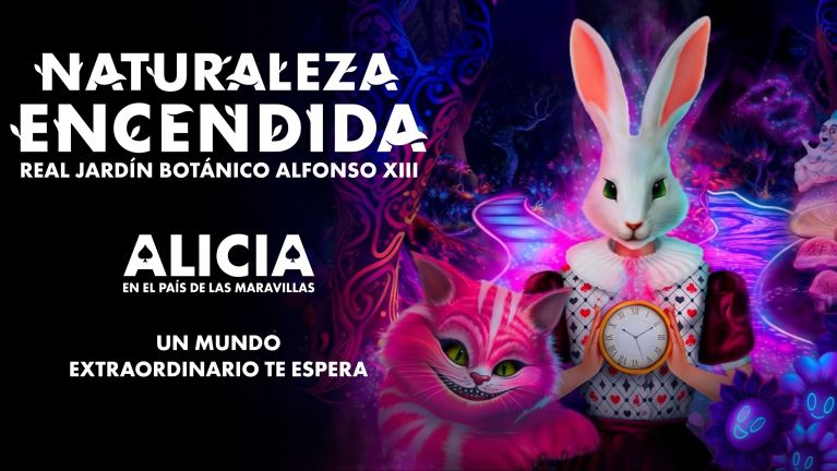 Vive la experiencia exclusiva de Zona Ñ en Naturaleza Encendida 