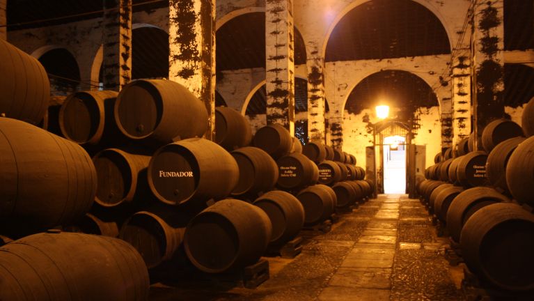 Bodegas Fundador y EL ESPAÑOL te invitan a vivir una experiencia enoturística exclusiva en Jerez