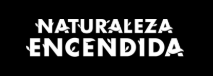 Promociones